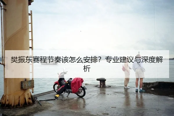樊振东赛程节奏该怎么安排？专业建议与深度解析